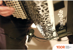 Микрофон Prodipe AL21 ROMANELLI ACCORDION (364002)