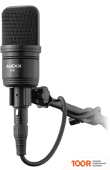 Микрофон Audix A131 (363389)
