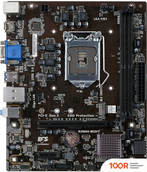 Материнская плата EliteGroup B250H4-M12VT (363217)