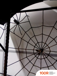 СтальСнабДизайн ПАУК (363150)