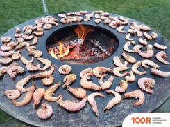 Альтерфасад ГРИЛЬ С ПОЛЕННИЦЕЙ (362881)