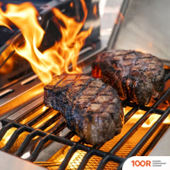 Nexgrill DELUXE 720-0958HA (362573)