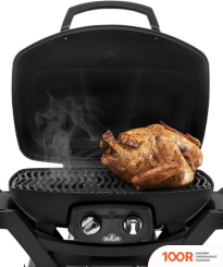 Napoleon TRAVELQ PRO-285X (362571)