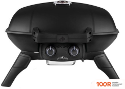 Napoleon TRAVELQ 285-1 (362570)