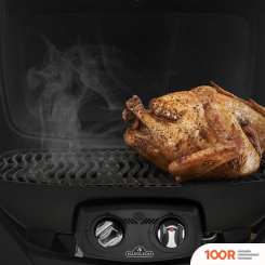 Napoleon TRAVELQ 285-1 (362570)