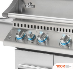 Napoleon BILEX-605 (362549)