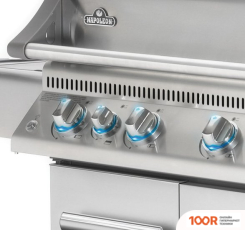 Napoleon BILEX-485 (362548)