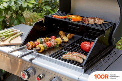 Landmann TRITON MAXX PTS 2.1 12915 (362411)