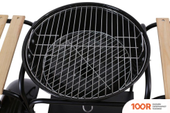 Activa 19426 (361890)