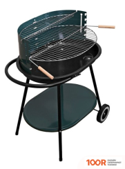 Activa 19321 (361887)