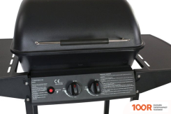 Activa 11999 (361884)