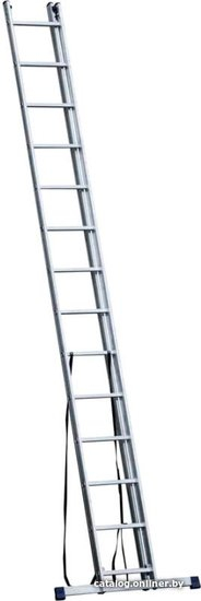 Лестница Stairs ALP214 (2X14 СТУПЕНЕЙ) (361635)