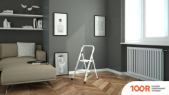 Лестница Colombo FACTOTUM 2 STEEL G110L02W (2 СТУПЕНИ) (361458)