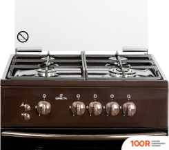 Кухонная плита GRETA GG 6002 CG 28 (B) (361239)