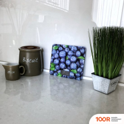 Кухонные весы Magio MG-694 (359664)