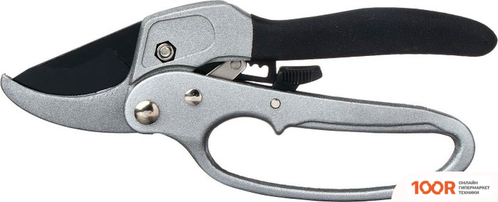 GreenGo 1762414 (359543)