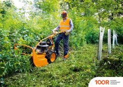 AS-Motor AS 65 SCOUT G06700009 (359534)