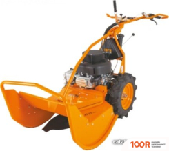 AS-Motor AS 65 SCOUT G06700009 (359534)