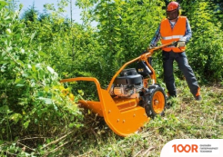 AS-Motor AS 65 SCOUT G06700009 (359534)