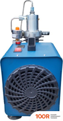 Компрессор Frosp КВД PCP 30 А (355443)