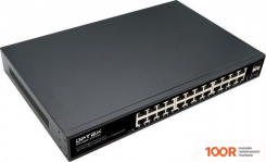 DPTEK DK1000-24TP2S (354969)