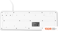 Клавиатура Оклик 305M (БЕЛЫЙ) (354885)