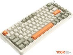 Клавиатура Ajazz AK820 MAX (БЕЖЕВЫЙ/ОРАНЖЕВЫЙ, AJAZZ FLYING FISH) (354839)