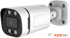 CCTV-камера Longse LS-AHD204/60L (354714)