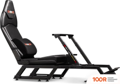 Next Level Racing F-GT (354254)