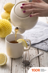 Price & Kensington CLASSIC TONES P-0056.754 (353591)