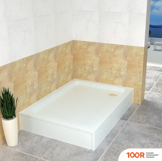 Душевой поддон RGW STYLE 100X80 (349069)