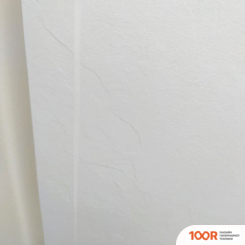 Душевой поддон RGW STL-109W 14212910-01 90X100 (349051)