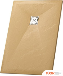 Душевой поддон RGW ST-DE 16152813-13 80X130 (348992)