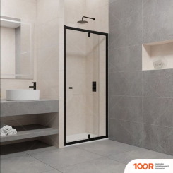 RGW PA-02B 04080200-14 100 (ЧЕРНЫЙ/ПРОЗРАЧНОЕ СТЕКЛО) (345157)