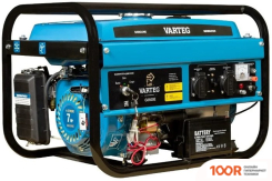 Генератор Varteg G3500E (341630)