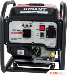 Генератор Gigant PROFESSIONAL GPIGL-3000O (341563)