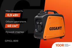 Генератор Gigant GPIGL-800 (341562)