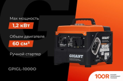 Генератор Gigant GPIGL-1000О (341560)
