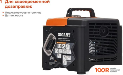 Генератор Gigant GPIGL-1000О (341560)