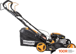 Газонокосилка Gigant PLM-01 (340312)