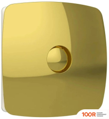 DiCiTi RIO 5C GOLD (339906)