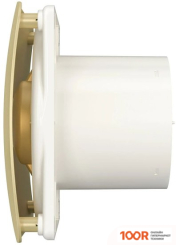 DiCiTi RIO 5C CHAMPAGNE (339903)