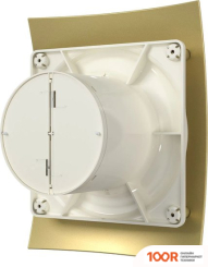 DiCiTi BREEZE 4C CHAMPAGNE (339882)