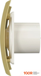 DiCiTi BREEZE 4C CHAMPAGNE (339882)