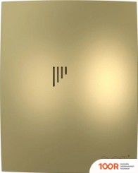 DiCiTi BREEZE 4C CHAMPAGNE (339882)