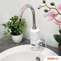 Ingrosso SV-P (01) (339362)