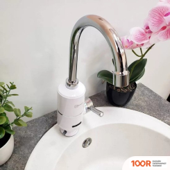 Ingrosso SV-P (01) (339362)