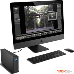 Внешний накопитель LaCie D2 PROFESSIONAL 14TB STHA14000800 (339230)
