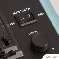 Виниловый проигрыватель Crosley CRUISER DELUXE BLACK (338926)