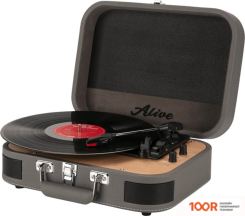 Виниловый проигрыватель Alive Audio LIBERTY WIND CHIME (338884)